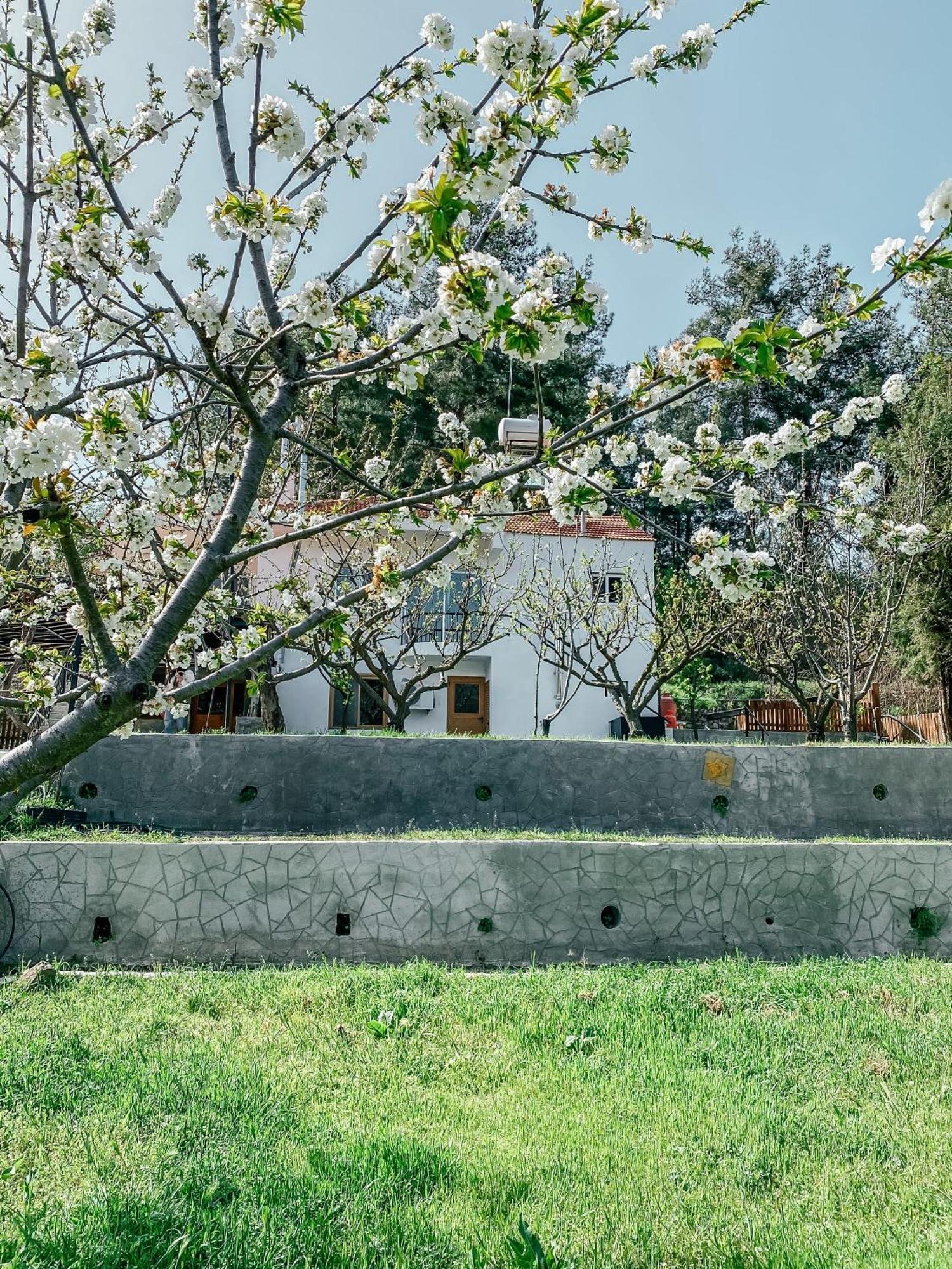 Milea Mansion Limassol